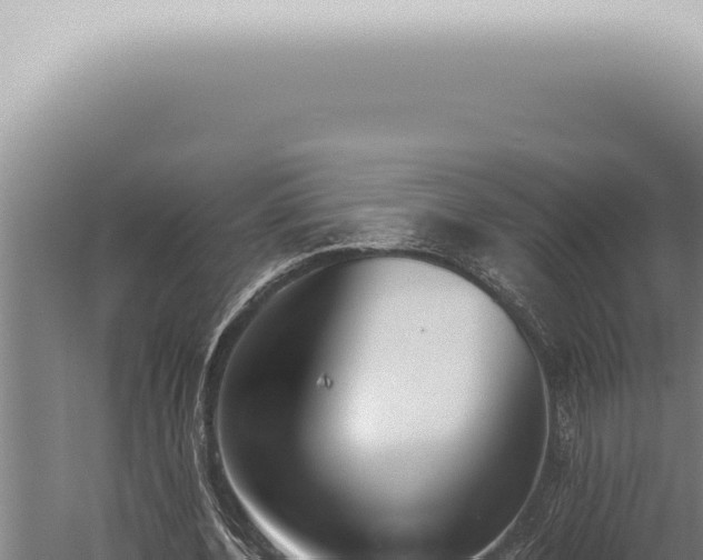 X0000059830532200510281800