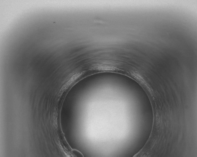 X0000059830533200510281800