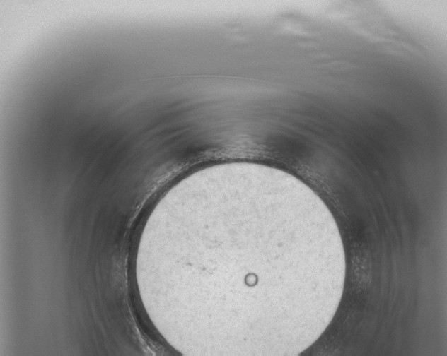 X0000059830534200510281800