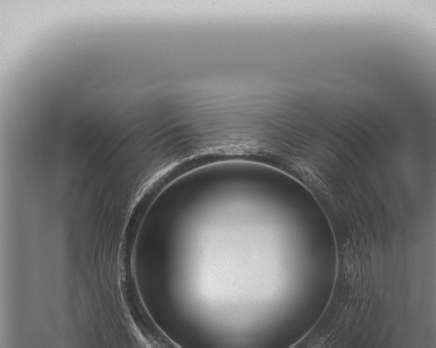 X0000059830536200510281800