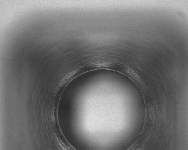 X0000059830537200510281800