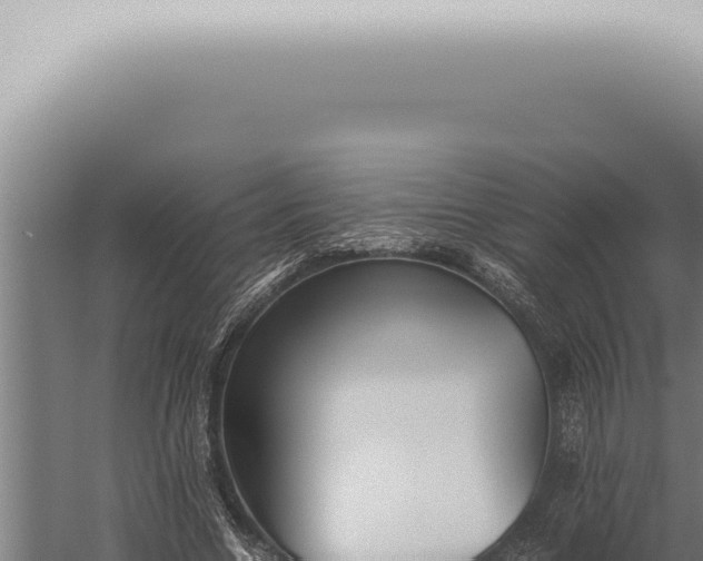 X0000059830538200510281800