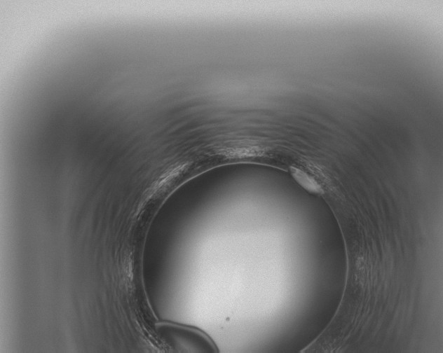 X0000059830539200510281800