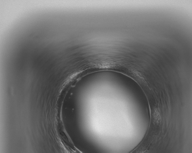 X0000059830540200510281800