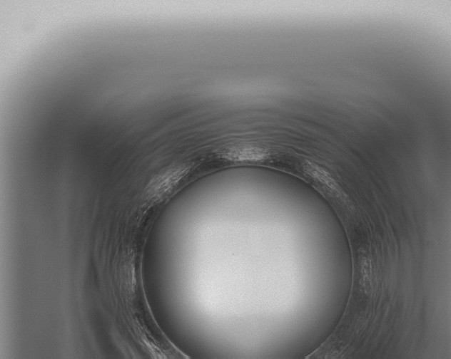 X0000059830541200510281800