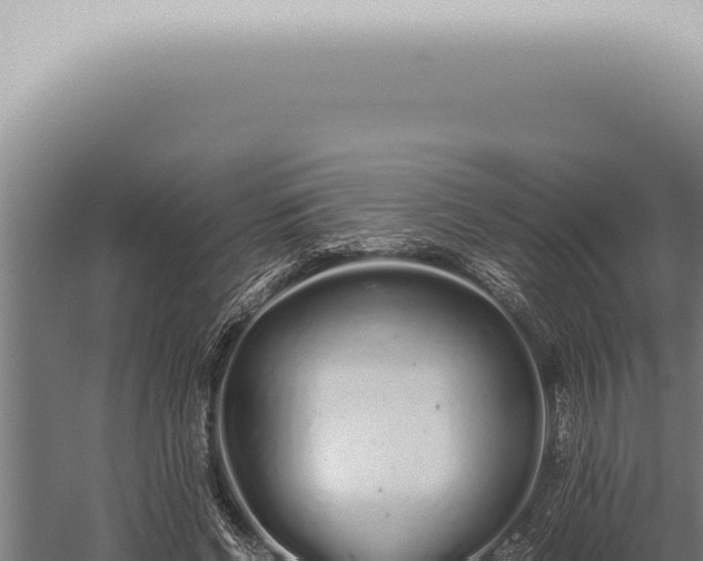 X0000059830542200510281800