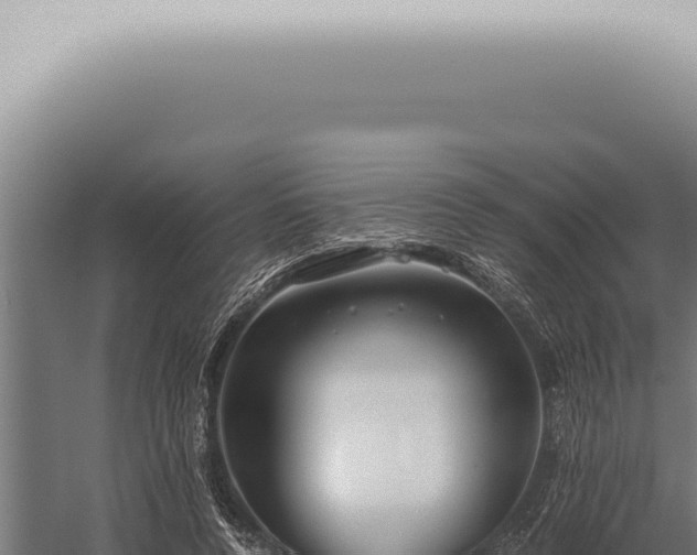 X0000059830544200510281800