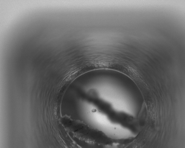 X0000059830548200510281800