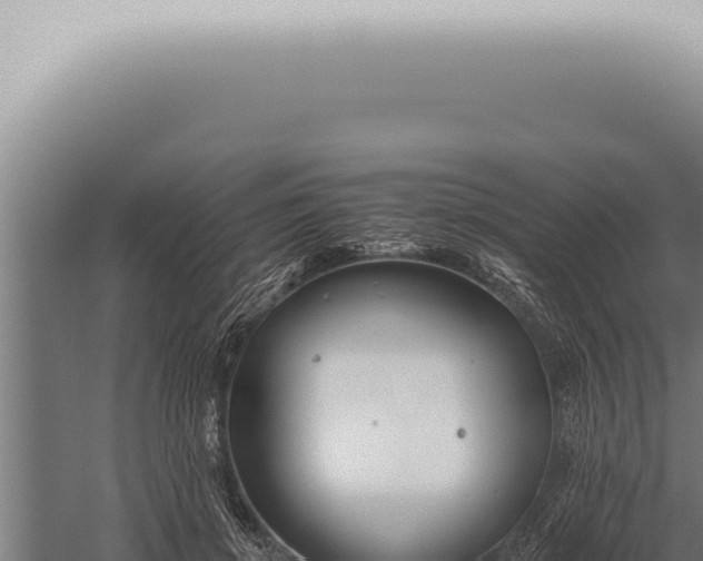 X0000059830549200510281800