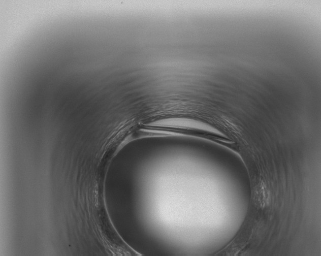 X0000059830552200510281800