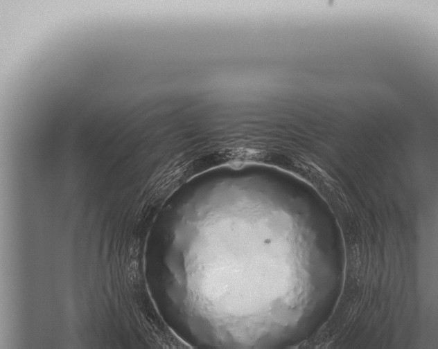 X0000059830553200510281800