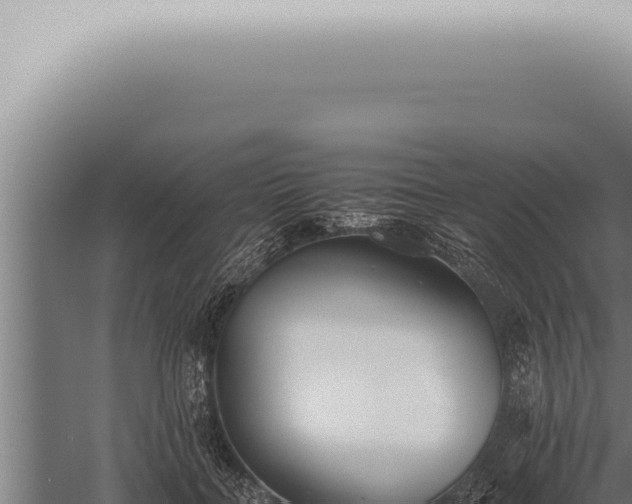 X0000059830555200510281800