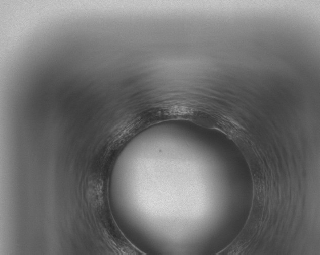 X0000059830556200510281800