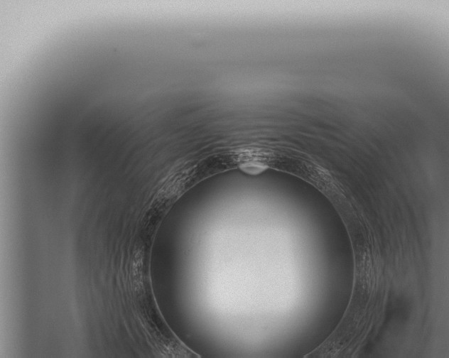 X0000059830557200510281800