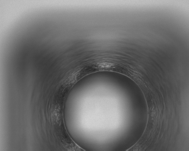 X0000059830559200510281800