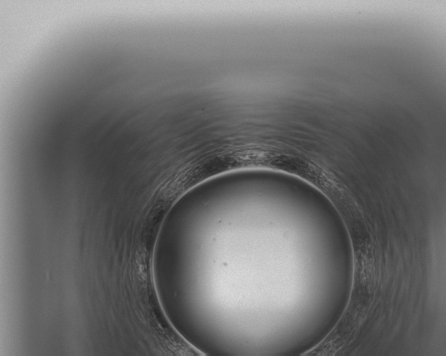 X0000059830561200510281800