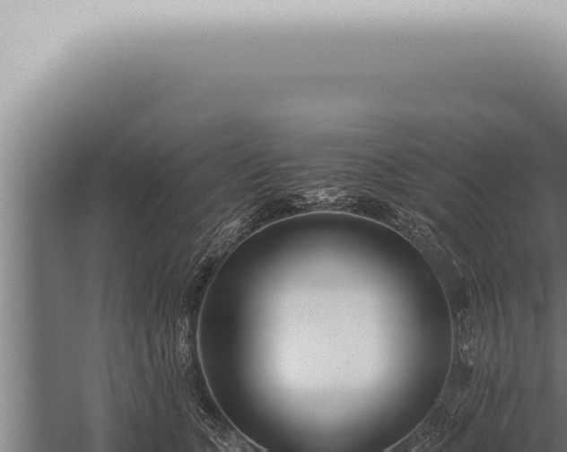 X0000059830563200510281801