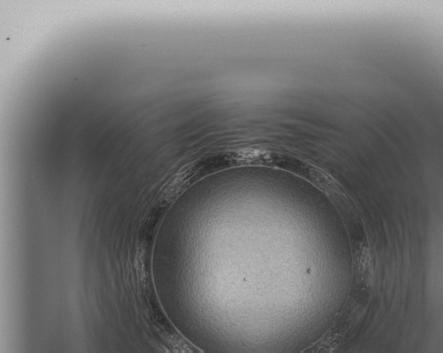 X0000059830565200510281801