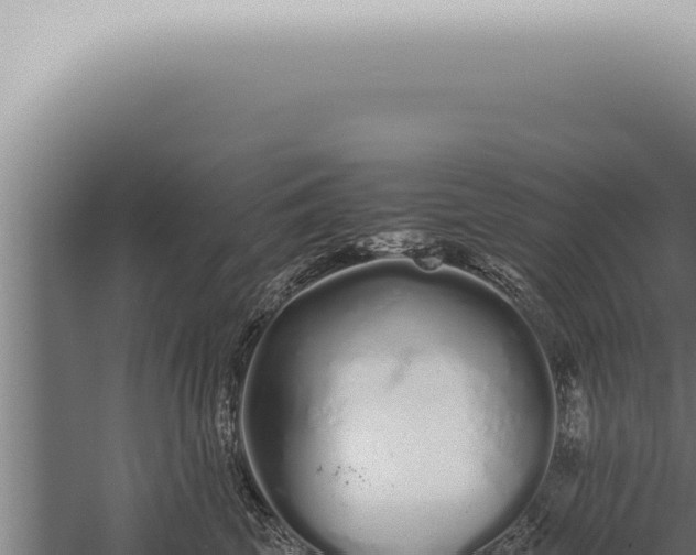 X0000059830569200510281801