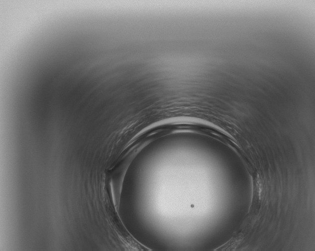 X0000059830570200510281801