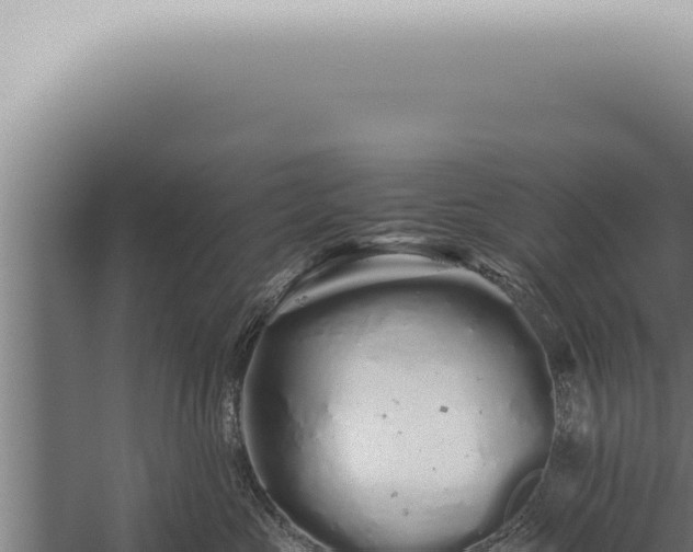 X0000059830573200510281801