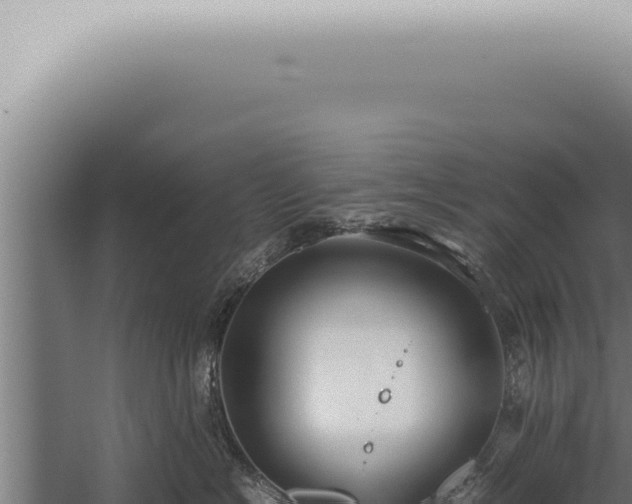 X0000059830574200510281801