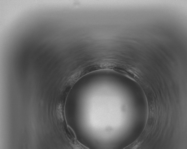 X0000059830575200510281801