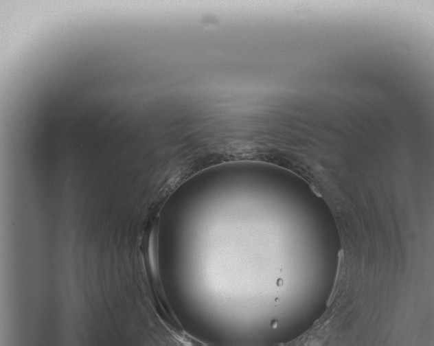 X0000059830576200510281801