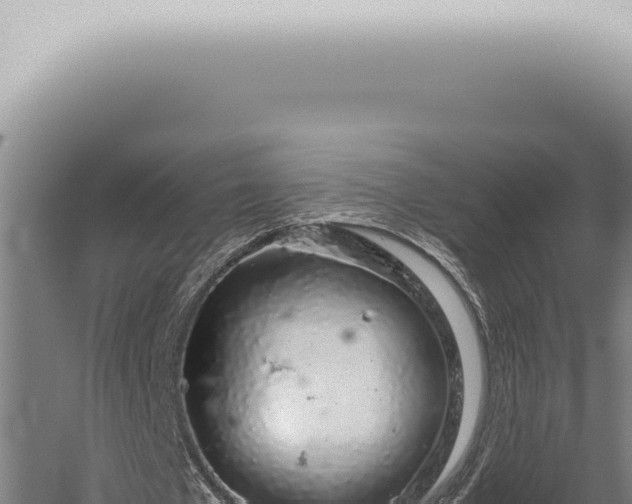 X0000059830577200510281800