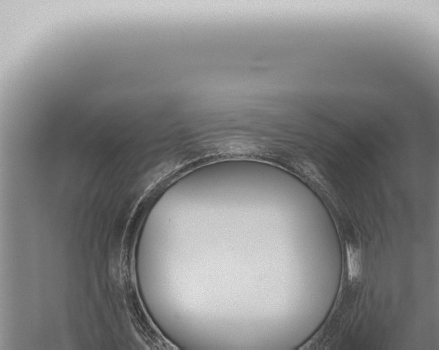 X0000059830579200510281800