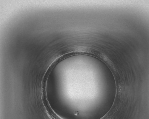 X0000059830580200510281800