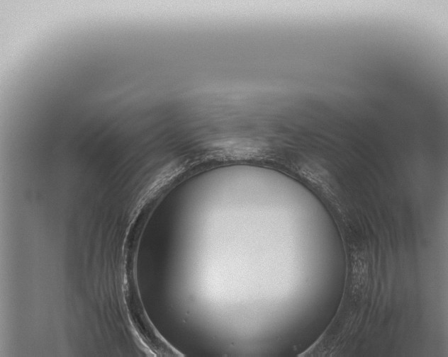 X0000059830582200510281800