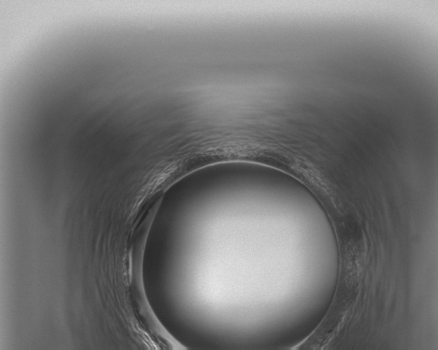 X0000059830585200510281800