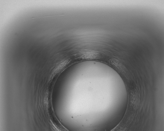 X0000059830586200510281800