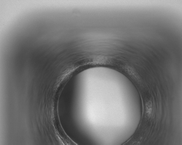 X0000059830588200510281800