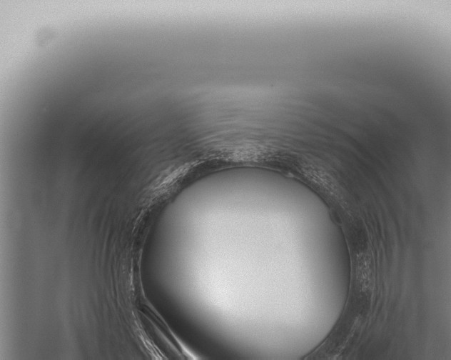 X0000059830589200510281800