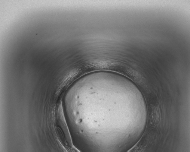 X0000059830590200510281800