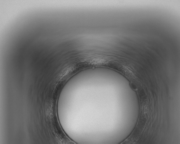 X0000059830591200510281800