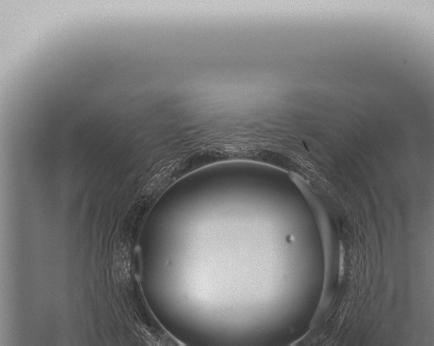 X0000059830593200510281800