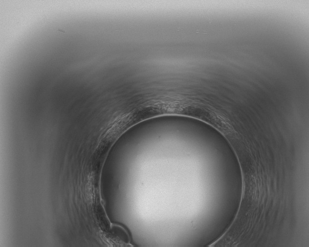 X0000059830594200510281800