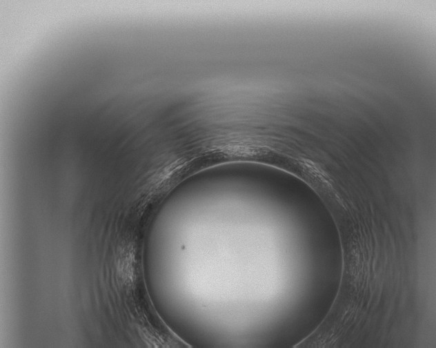 X0000059830596200510281800