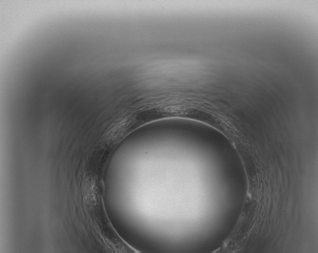 X0000059830597200510281800