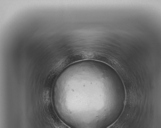 X0000059830598200510281800