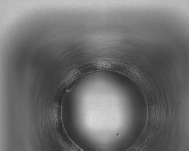 X0000059830600200510281800