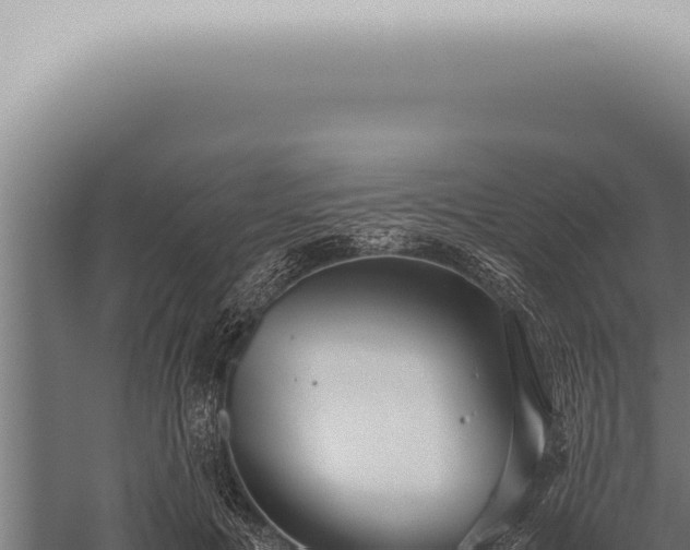 X0000059830601200510281759