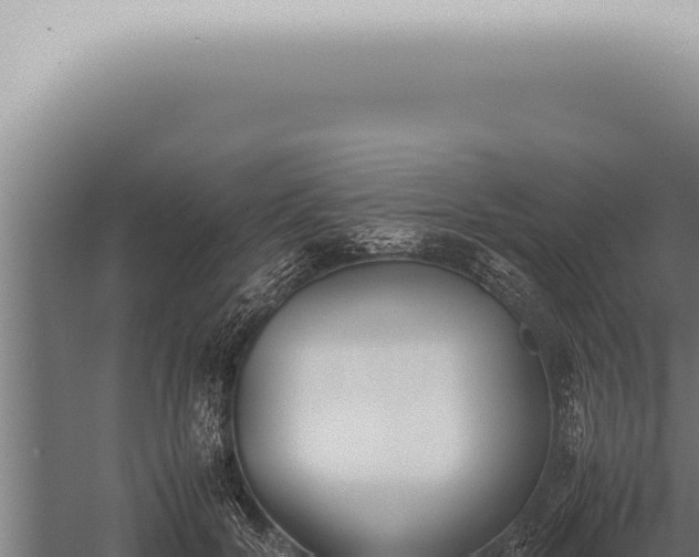 X0000059830604200510281759