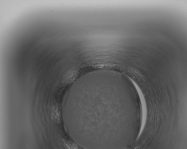 X0000059830607200510281759