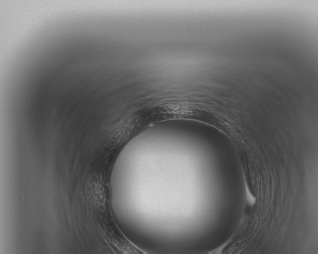 X0000059830609200510281759