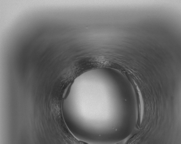 X0000059830613200510281759