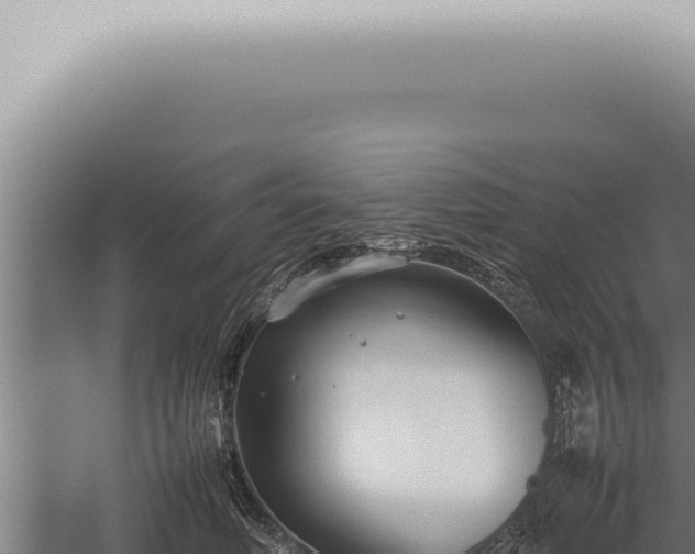 X0000059830614200510281759